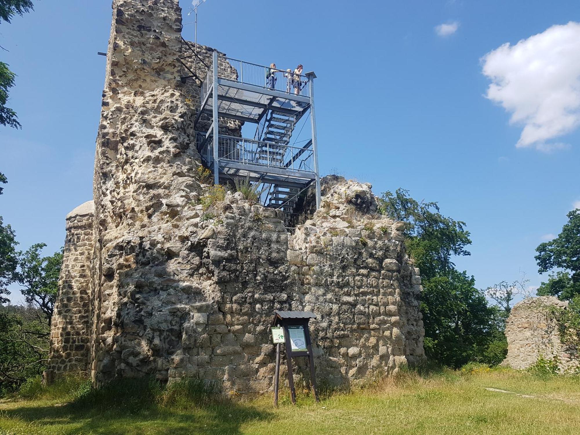 Ferienhaus Renate 7 Thale Eksteriør billede